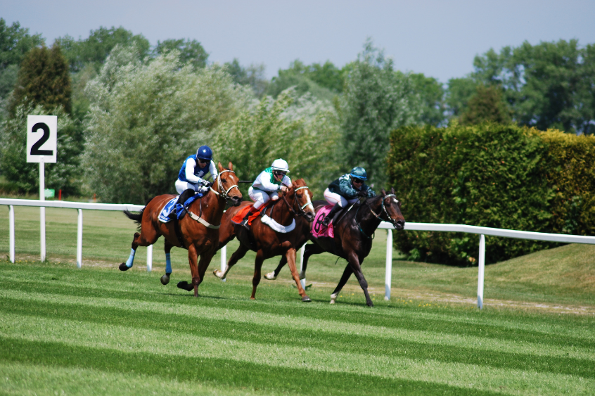 Musselburgh Race Couse